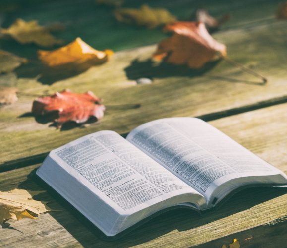bible-1868070
